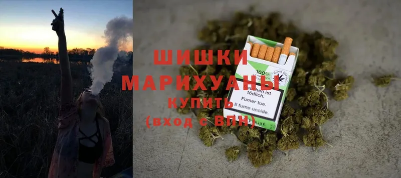 где продают наркотики  Волжск  Бошки марихуана индика 